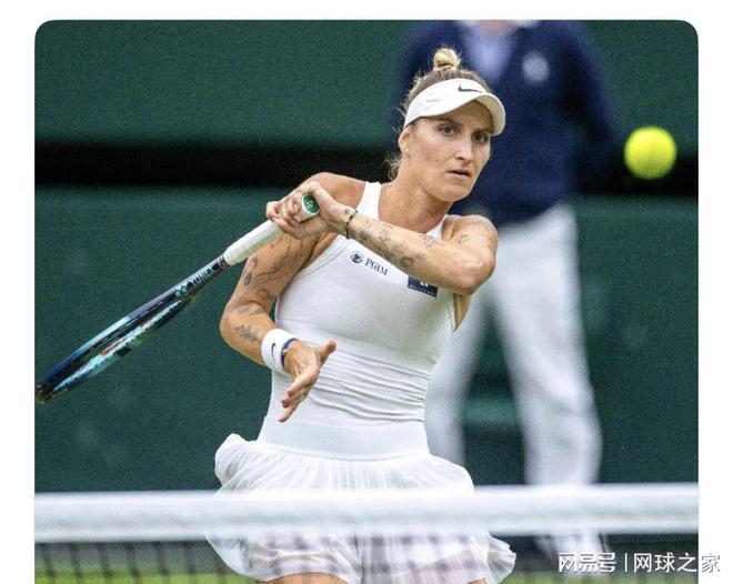 运动员的体 运动员的体